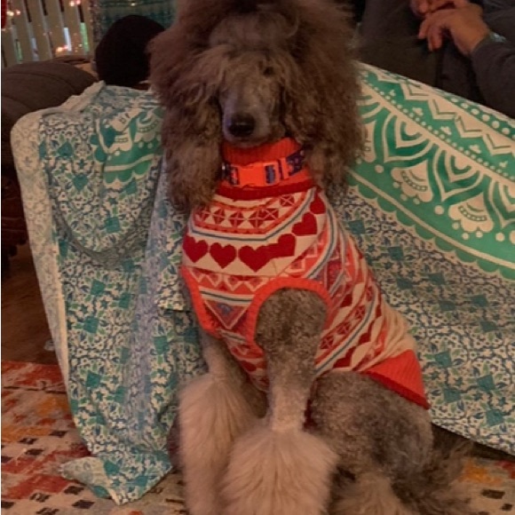 Charm Fair Isle Matching Family Sweater dog sweater - Picture 3 of 11